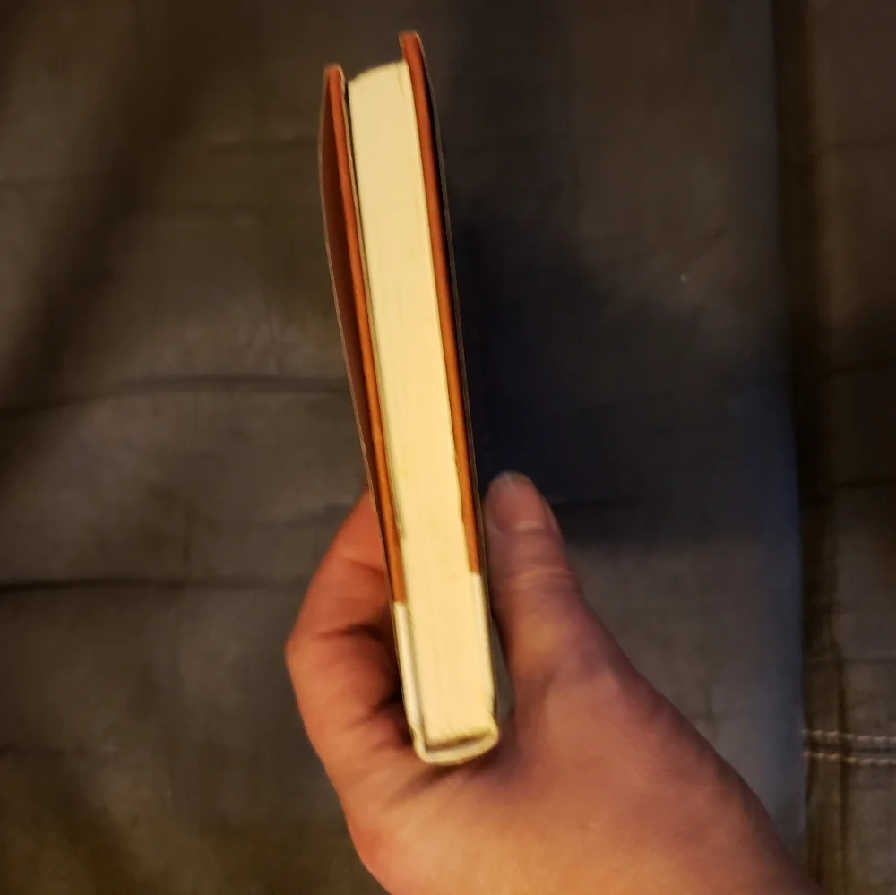 Mrs. Pollifax‎ and The Second Thief by Dorothy Gilman Hardback